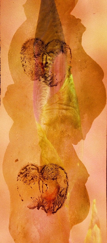 Diaprojektion-bedrucktes-Chinapapier-Irisknospe-Schwangerschaft-Apfel-Fruchtbarkeit-Symbol-Mutterschaft-Schoß-Kunst