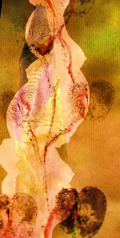 Diaprojektion-bedrucktes-Chinapapier-Irisknospe-Schwangerschaft-Apfel-Fruchtbarkeit-Symbol-Mutterschaft-Schoß-Kunst